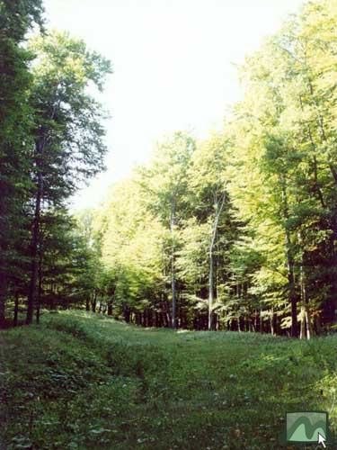 Szánkópálya Mátraházán