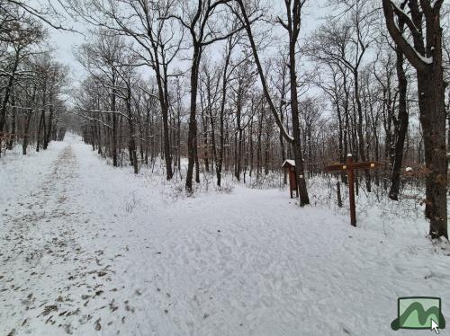 Mátra - Mátrafüredi szánkópálya