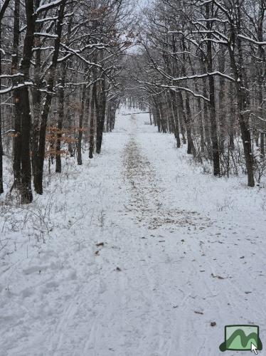 Mátrafüredi szánkópálya