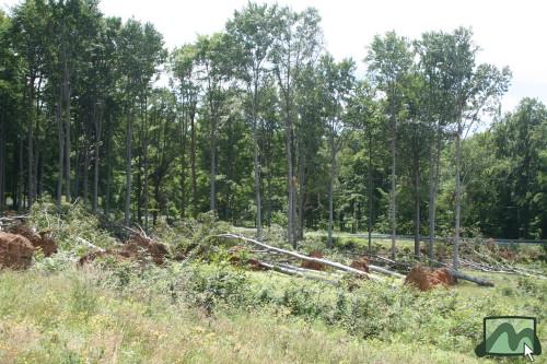 2006. június - a vágások kitett szélein jelentős szélkárok rongálják az erdőket