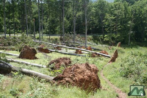 2006. június - a vágások kitett szélein jelentős szélkárok rongálják az erdőket