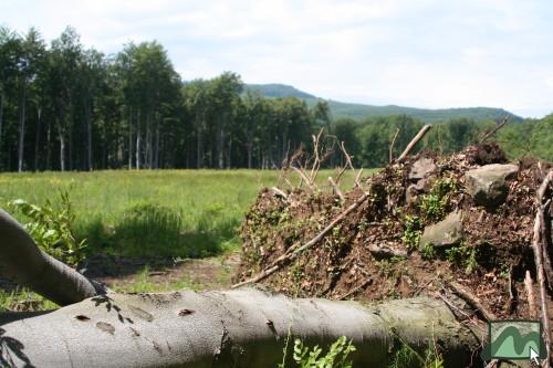 2006. június - a vágások kitett szélein jelentős szélkárok rongálják az erdőket