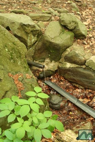 József Attila-forrás