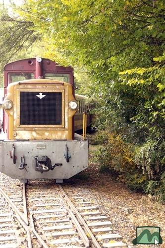 Kisvonat  Lajosházán