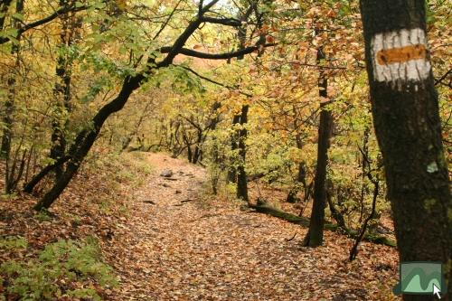 Rákóczi turistaút a Muzsla oldalában