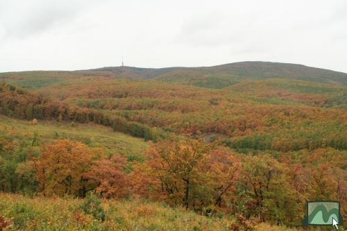 Panoráma a Muzsla oldalából Kékestetõ felé