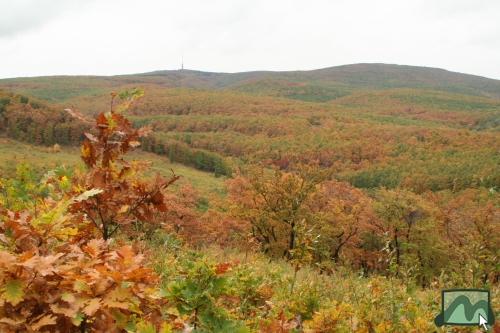 Panoráma a Muzsla oldalából Kékestetõ felé