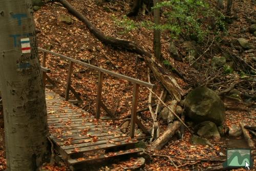 Kék sáv és piros sáv turistaút a Honvéd üdülő alatt