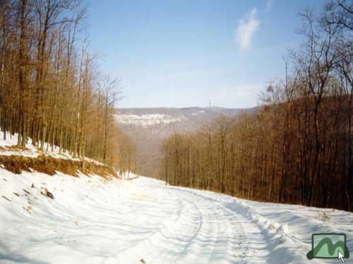 Kékes a Benevár-bércről