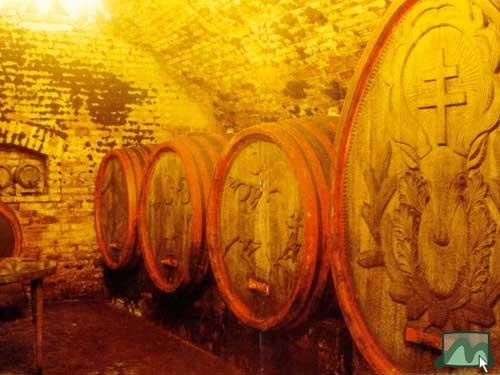 Haller Pince - Gyöngyöstarján