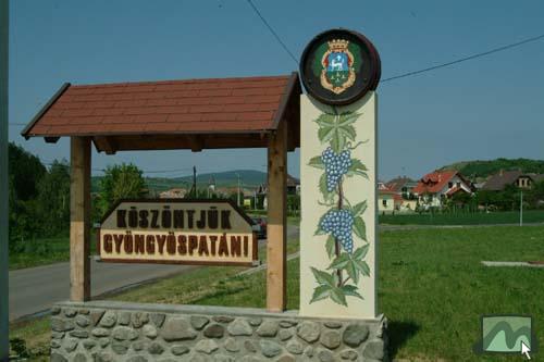 Gyöngyöspata