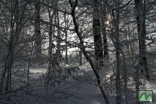 Téli táj 2010. december 4-én a Felső-Mátrában