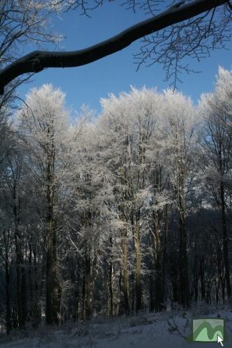 Téli táj 2010. december 4-én a Felső-Mátrában