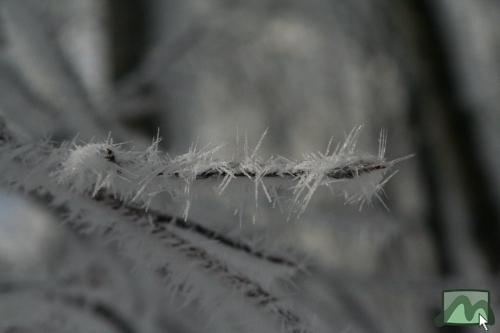 Téli táj 2010. december 4-én a Felső-Mátrában