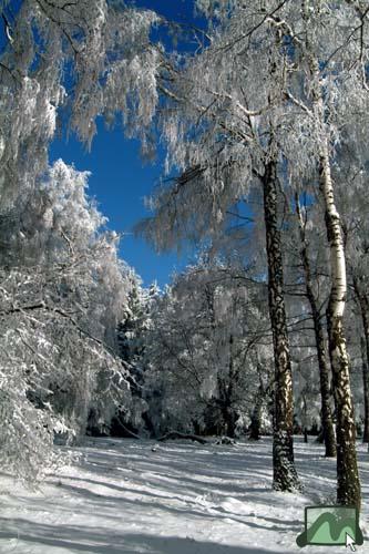 Galyatetői park (2004.01.06.)