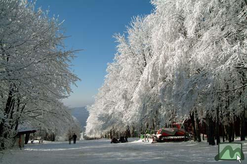 Kékestető - Kékes Déli sípálya (2004.01.06.)