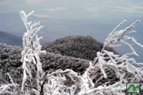 Galya-vár (837 m) - 2004.02.26.