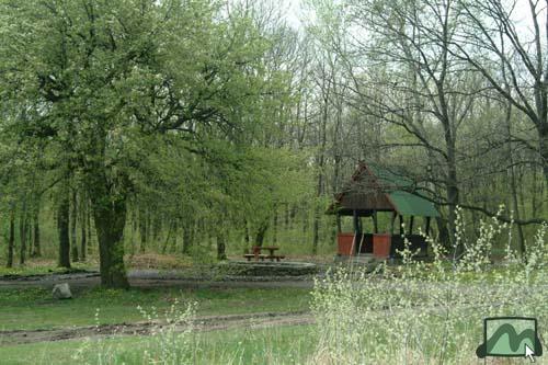 Sástói rét, tűzrakóhely