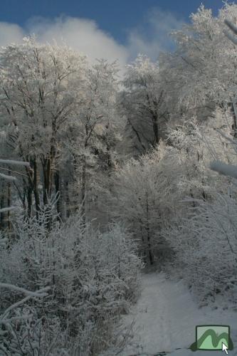 Piros kereszt turistaút Mátraszentimre és Bőgős-rét között