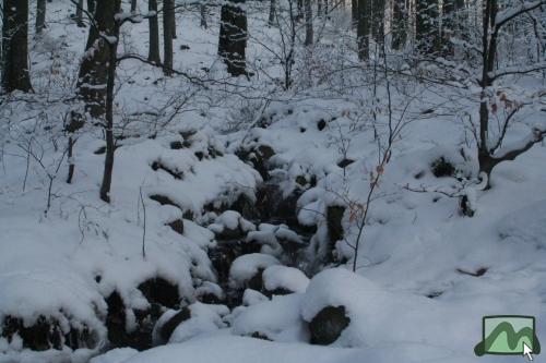 Patakocska csörgedez