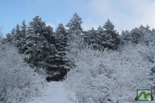 A kék kereszt turistaúton Mátraalmás felé