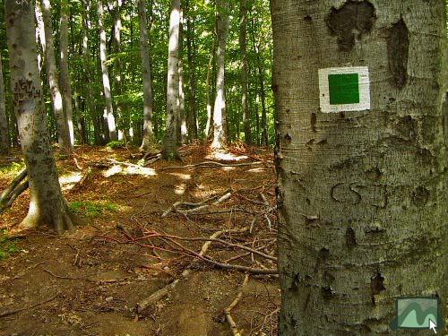 Zöld négyzet turistaút a Nagy-Hidas-bércen