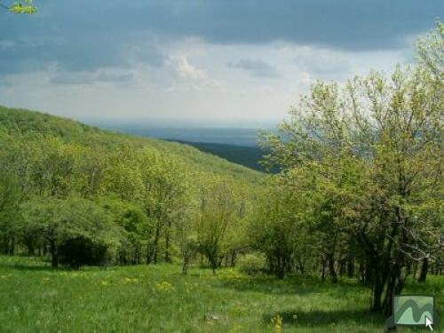 Tájkép a kék kereszt jelzésről