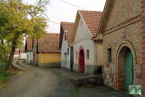 Nagyréde - Pincesor