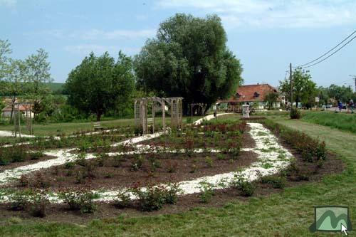 Rózsaszentmárton - Rózsakert