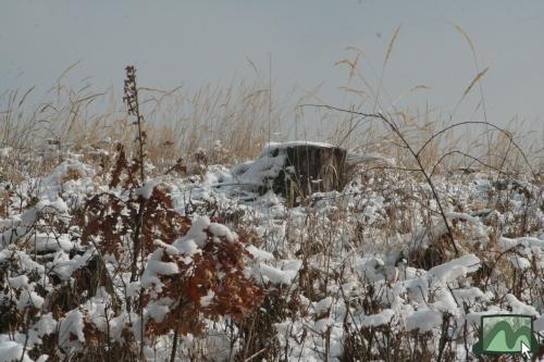 Téli csendélet az Üvöltő-gerincen