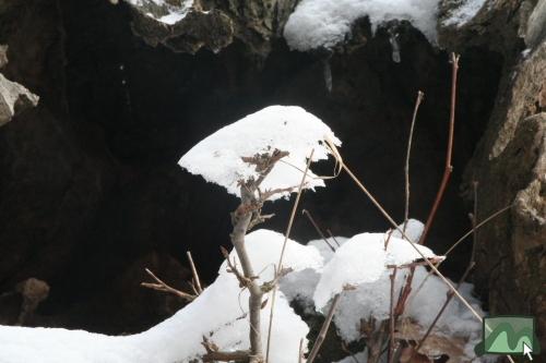 Téli csendélet az Üvöltő-gerincen