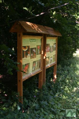 Mátraszentimrei tanösvény, mérgező és ehető gombák