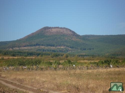 Gyöngyöstarján - Világos-hegy