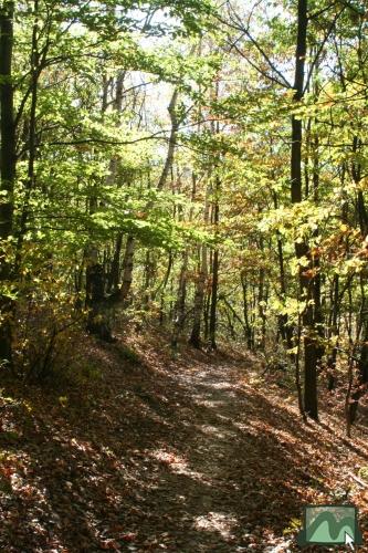 Kék kör turistajelzés Mátraszentimre után Fallóskút felé