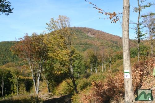 A zöld sávon már a Mária-út jelzése is megtalálható, háttérben az Ágasvár