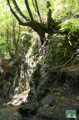 Csörgő-szurdok