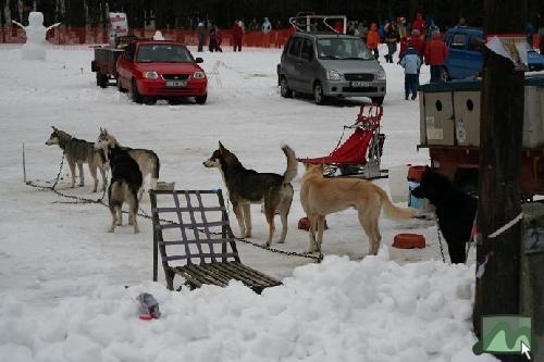 Mátraszentimre - Versenyre várva (2006.03.04.)