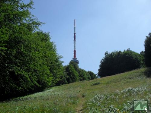 Kékestető - Északi sípályáról felnézve